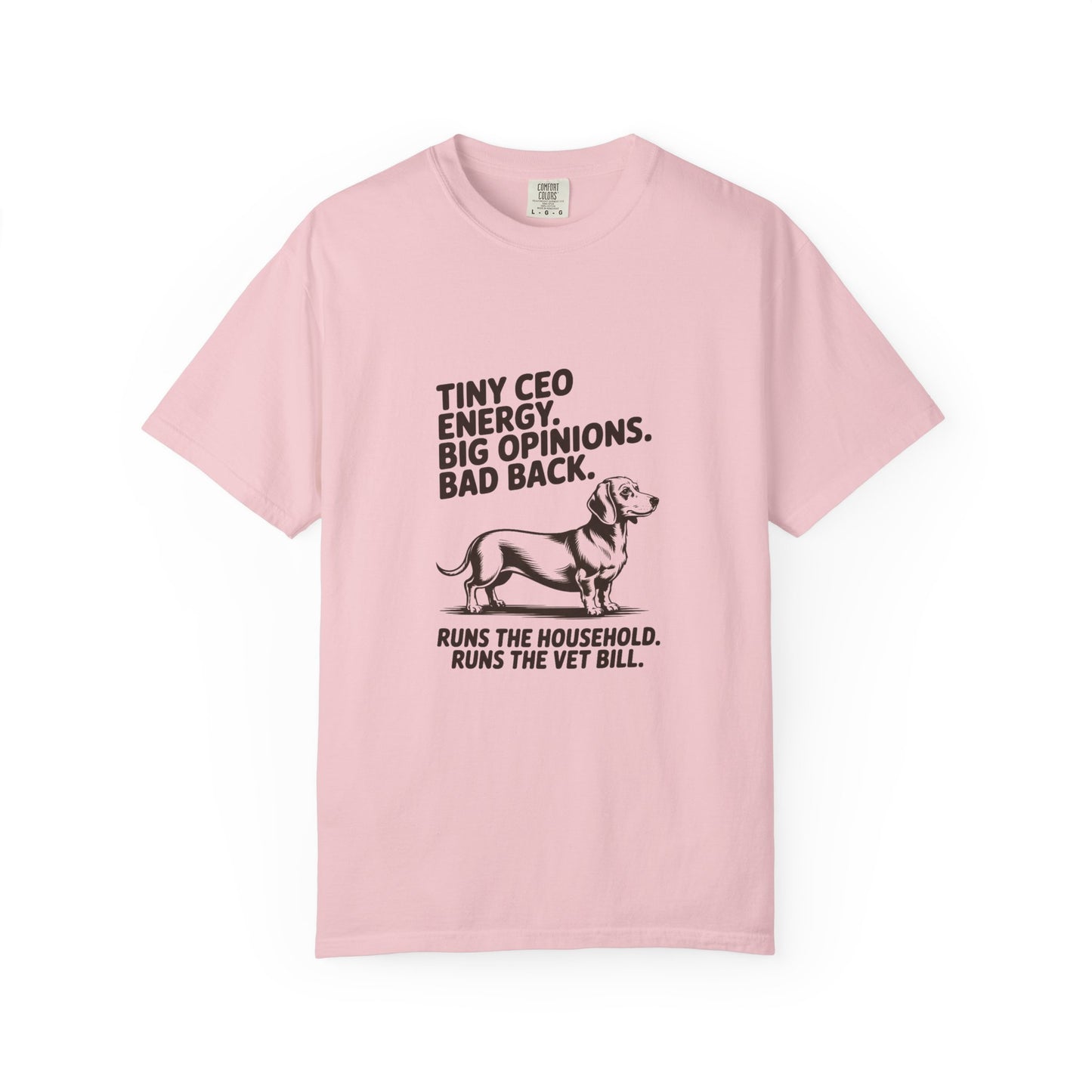Dachshund — Tiny CEO energy. Big opinions. Bad back