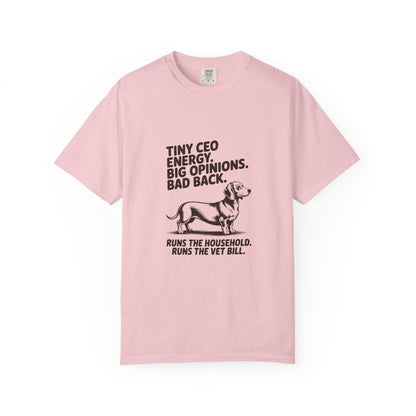 Dachshund — Tiny CEO energy. Big opinions. Bad back