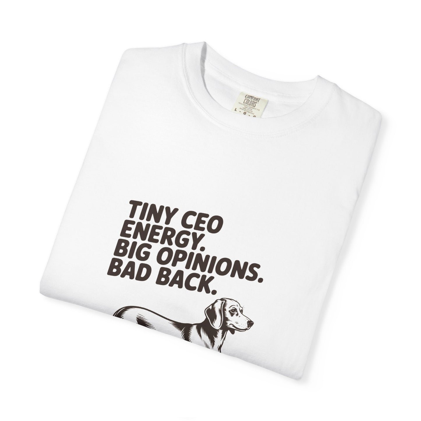 Dachshund — Tiny CEO energy. Big opinions. Bad back