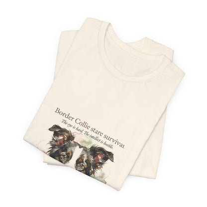 Border Collie — Border Collie Stare Survivor
