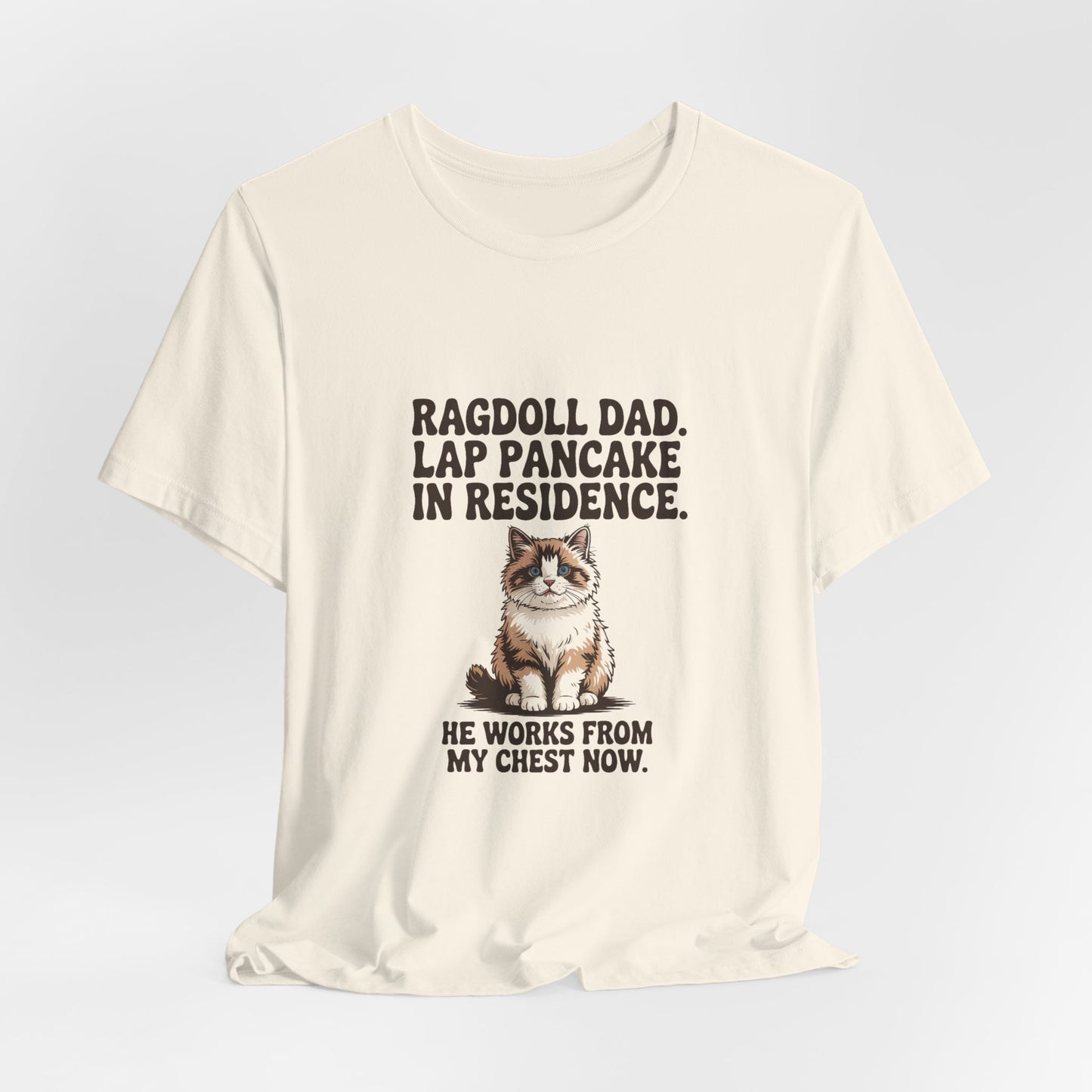 Ragdoll — Ragdoll Dad. Lap pancake in residence