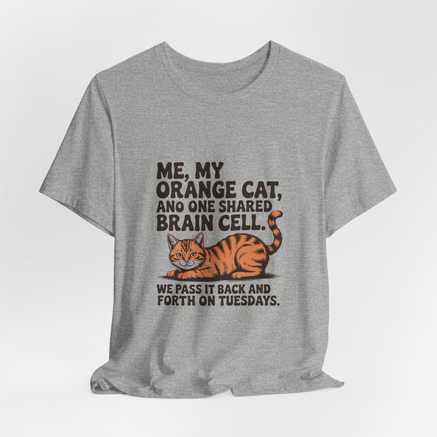 Orange Tabby — Me, my orange cat, and one shared brain cell