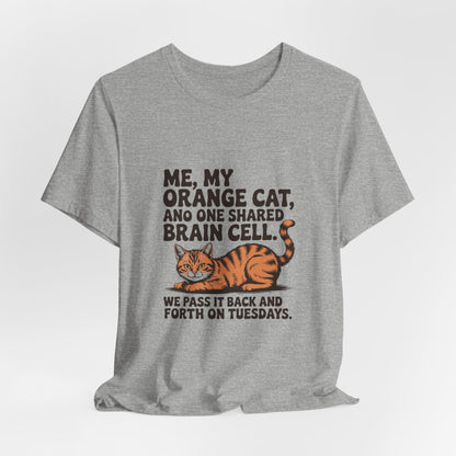 Orange Tabby — Me, my orange cat, and one shared brain cell