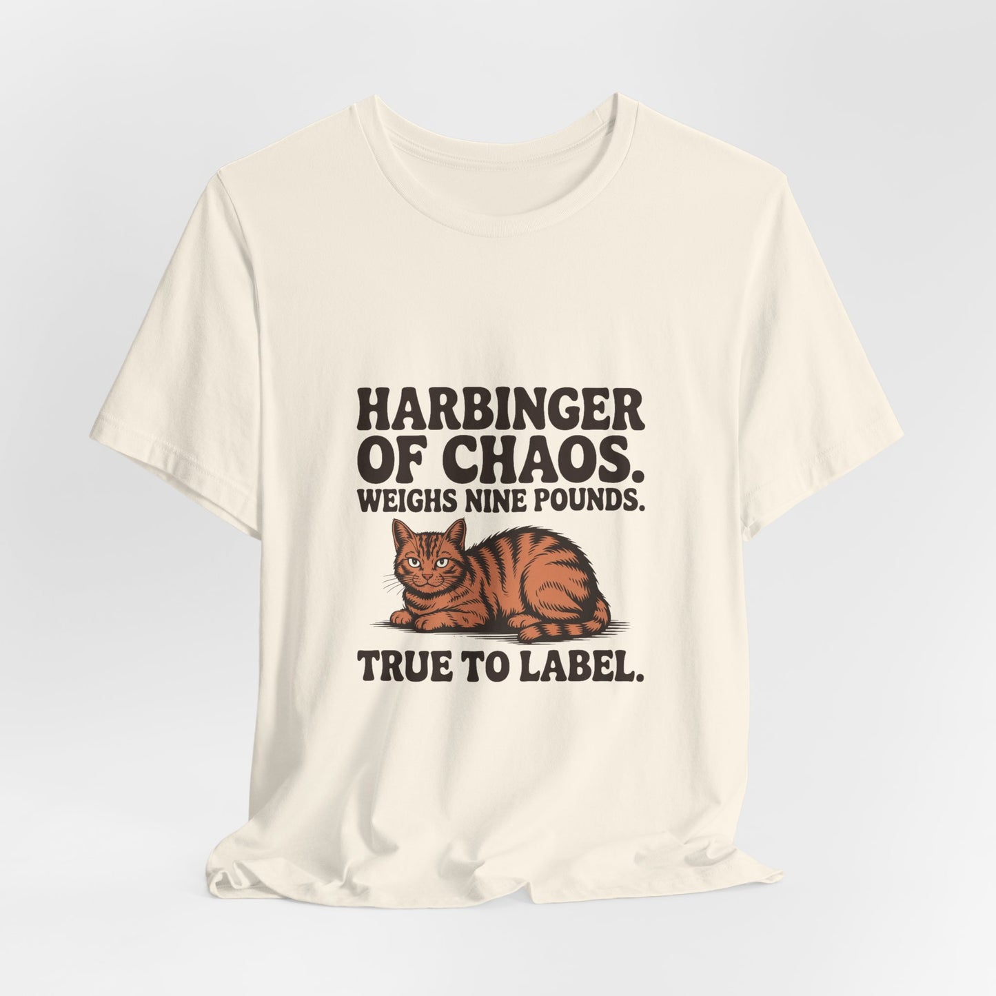 Orange Tabby — Harbinger of chaos. Weighs nine pounds