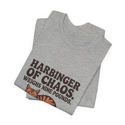 Orange Tabby — Harbinger of chaos. Weighs nine pounds