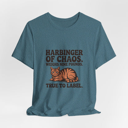 Orange Tabby — Harbinger of chaos. Weighs nine pounds