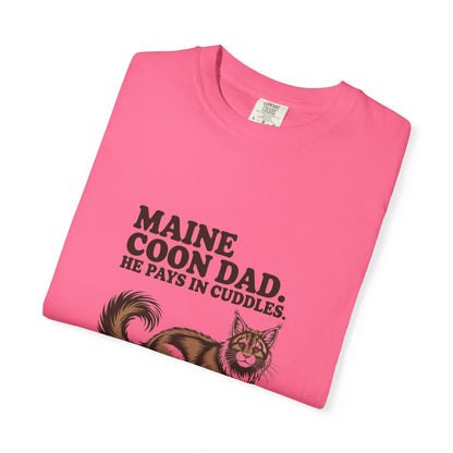 Maine Coon — Maine Coon Dad. He pays in cuddles