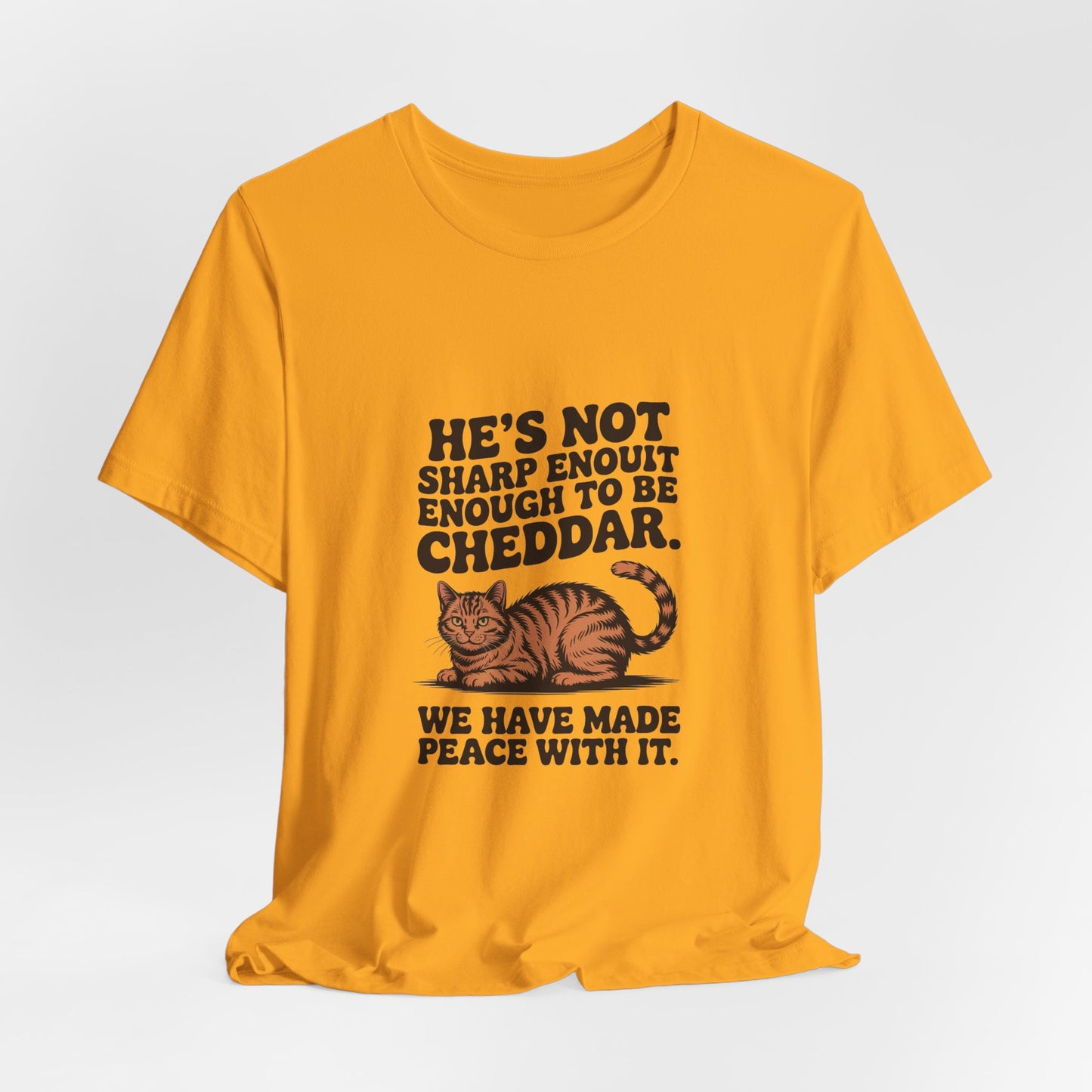 Orange Tabby — He's not sharp enough to be cheddar