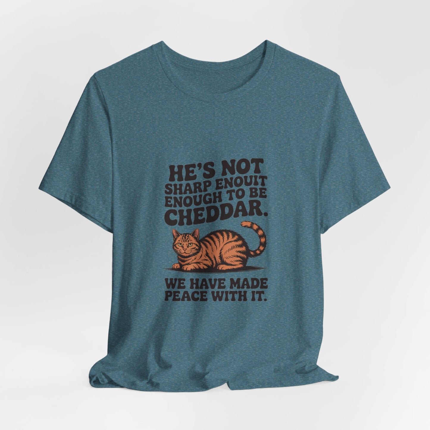 Orange Tabby — He's not sharp enough to be cheddar