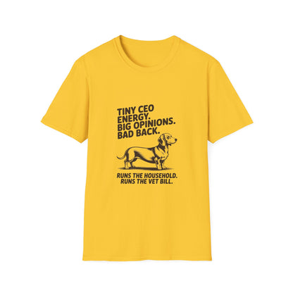 Dachshund — Tiny CEO energy. Big opinions. Bad back