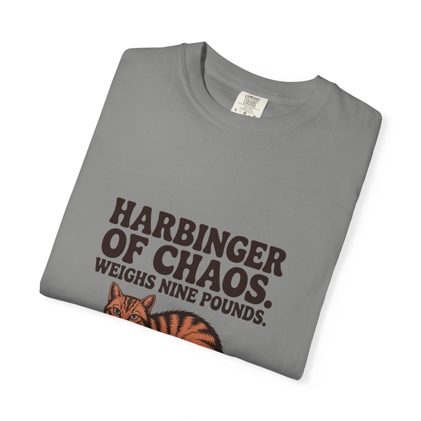 Orange Tabby — Harbinger of chaos. Weighs nine pounds