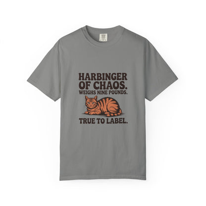 Orange Tabby — Harbinger of chaos. Weighs nine pounds