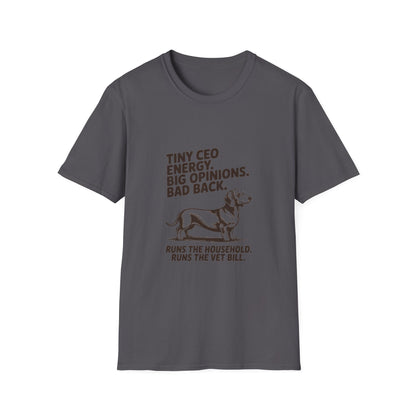 Dachshund — Tiny CEO energy. Big opinions. Bad back