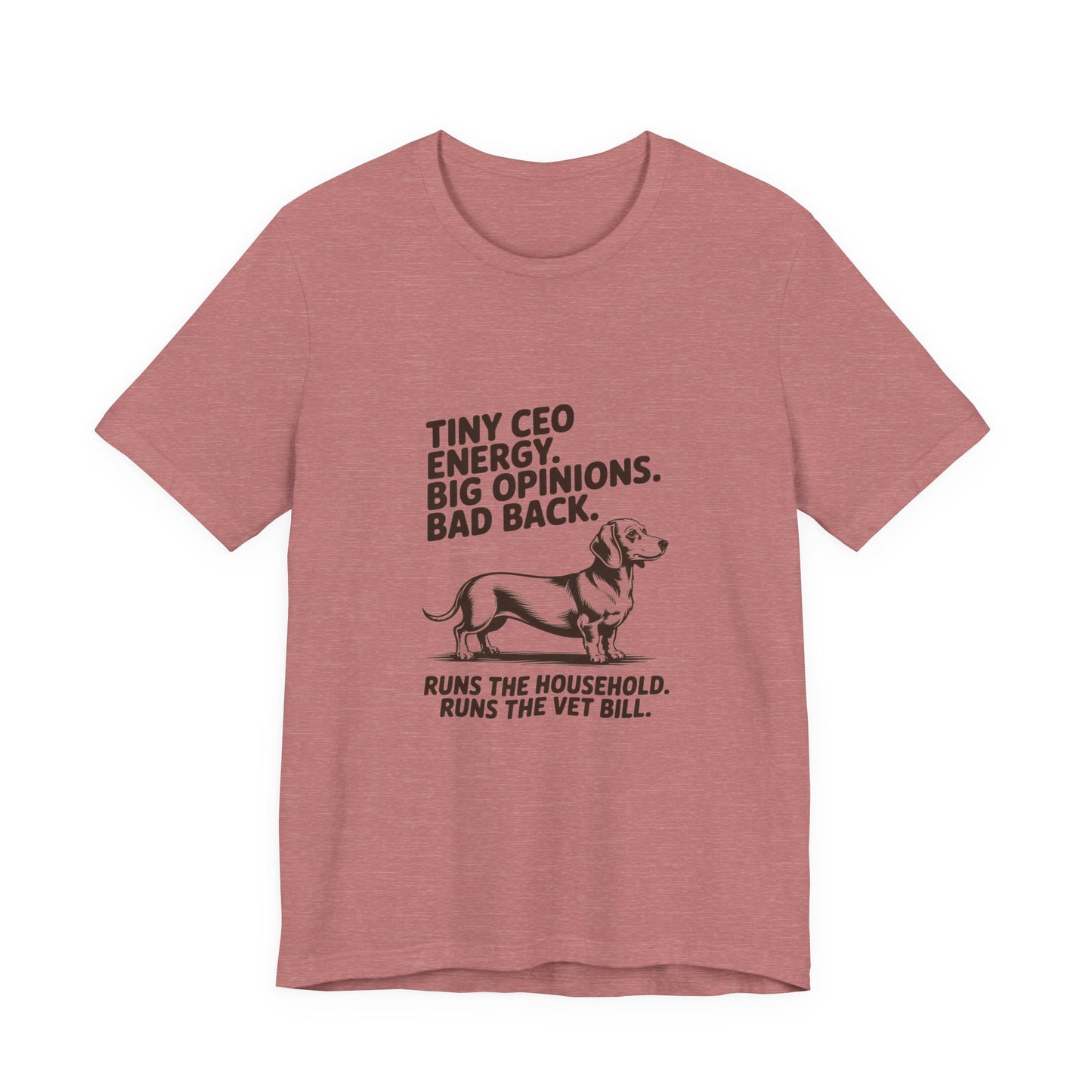 Dachshund — Tiny CEO energy. Big opinions. Bad back