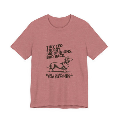 Dachshund — Tiny CEO energy. Big opinions. Bad back