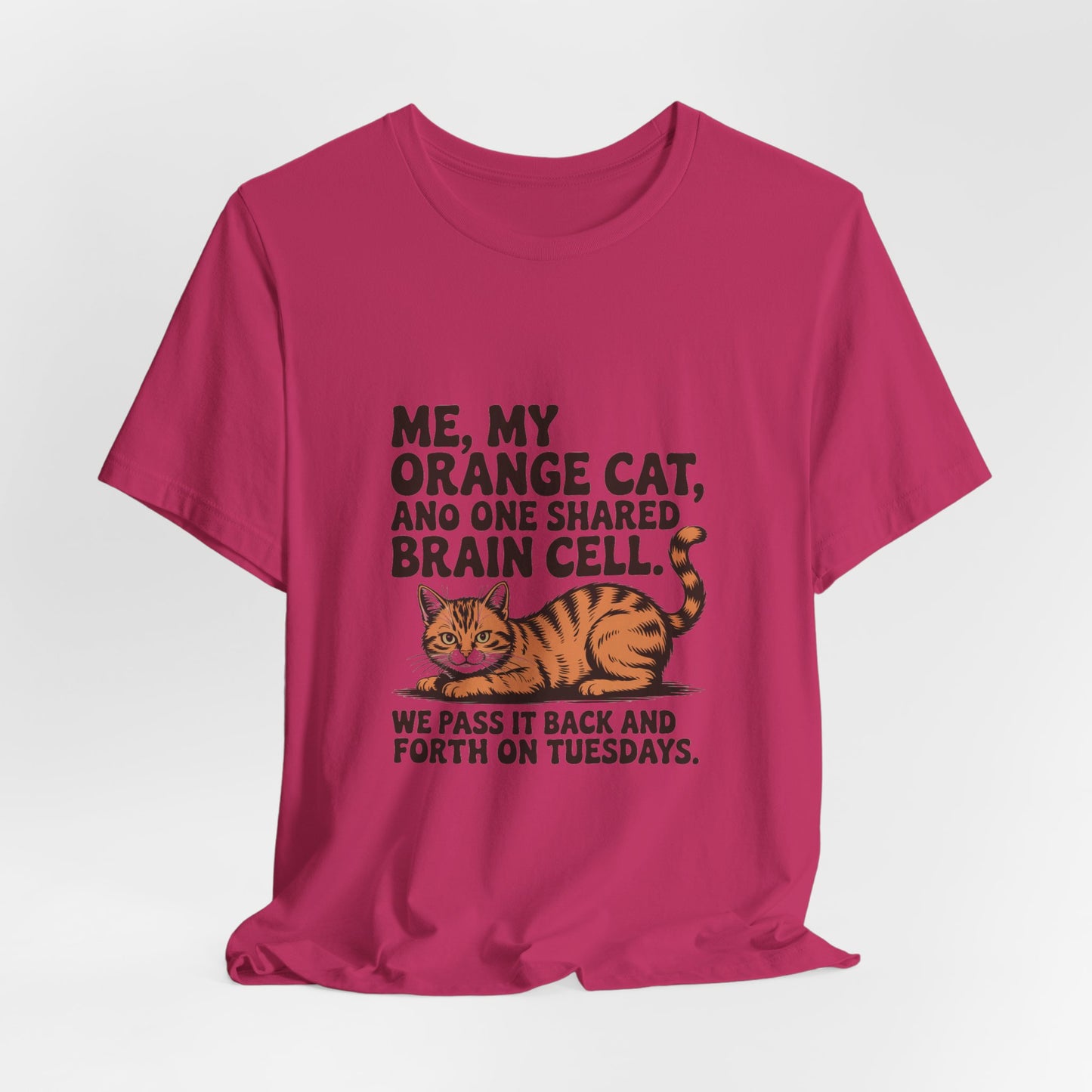 Orange Tabby — Me, my orange cat, and one shared brain cell