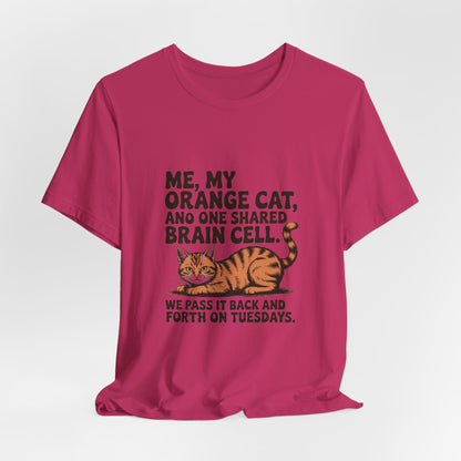 Orange Tabby — Me, my orange cat, and one shared brain cell