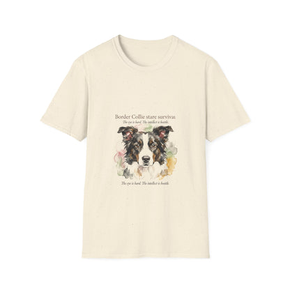 Border Collie — Border Collie Stare Survivor