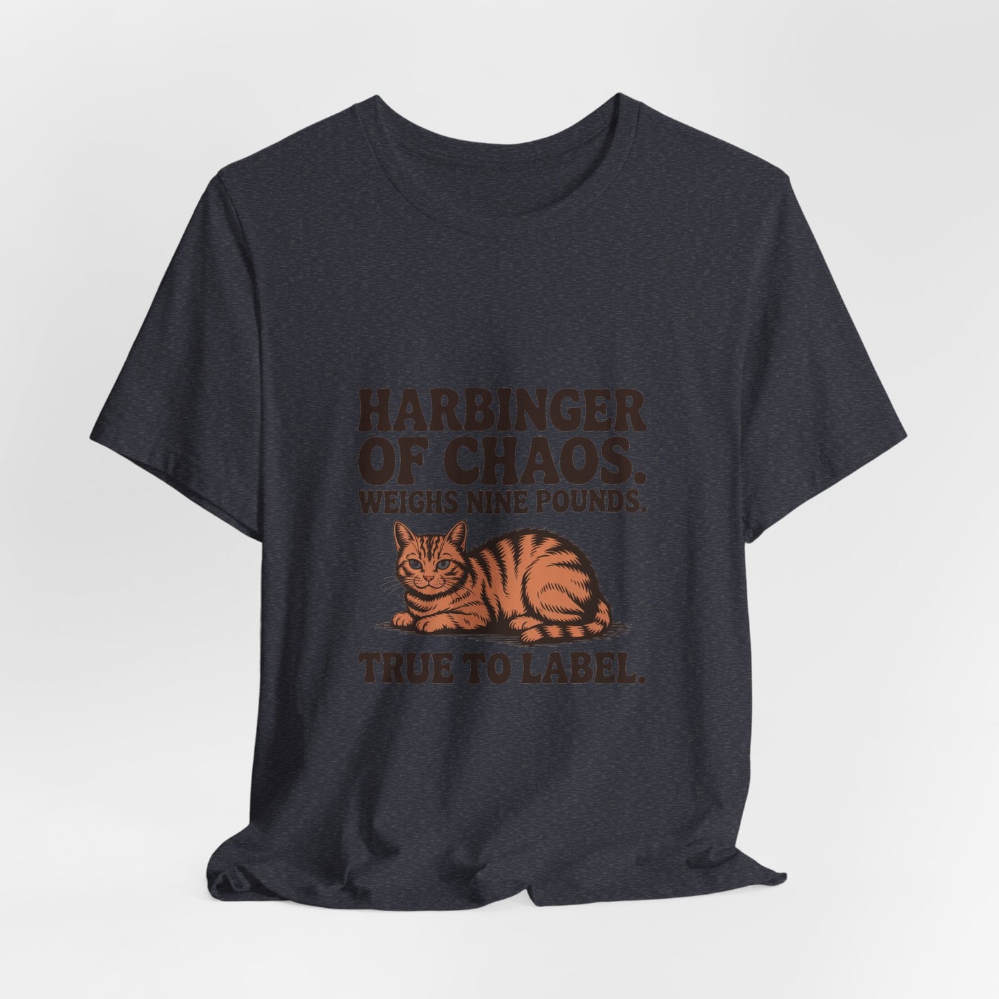 Orange Tabby — Harbinger of chaos. Weighs nine pounds