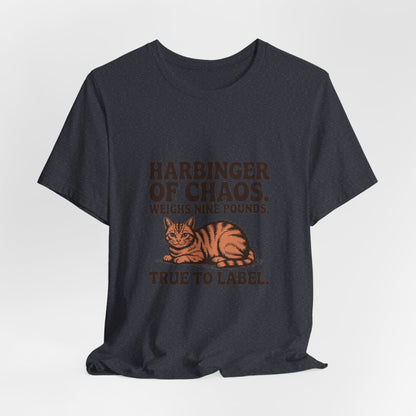 Orange Tabby — Harbinger of chaos. Weighs nine pounds