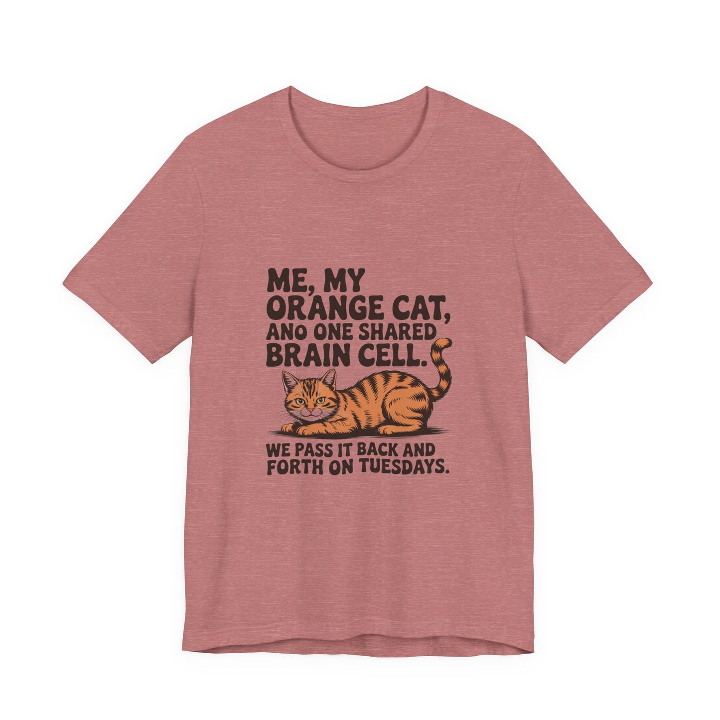 Orange Tabby — Me, my orange cat, and one shared brain cell