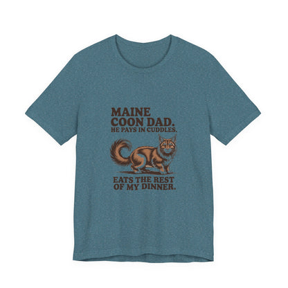 Maine Coon — Maine Coon Dad. He pays in cuddles