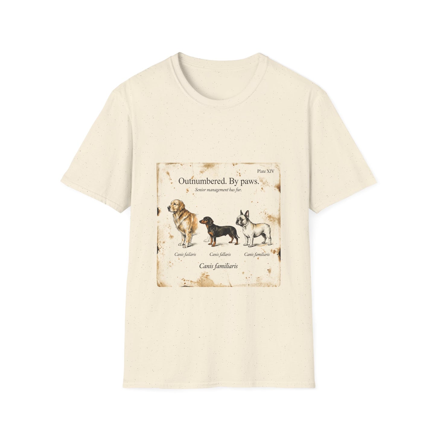 Dog Mom — Outnumbered by Paws