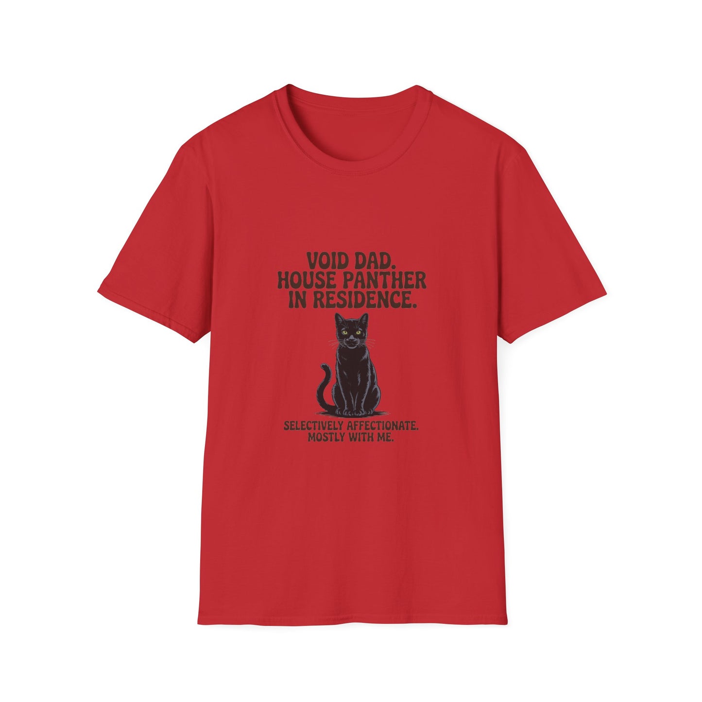 Black Cat — Void Dad. House panther in residence