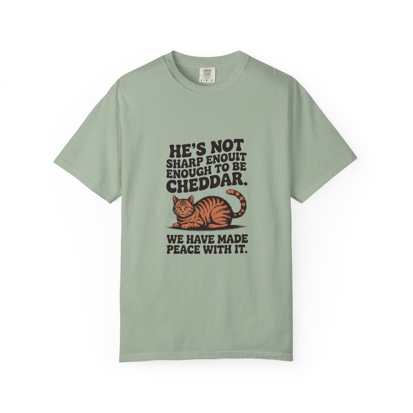 Orange Tabby — He's not sharp enough to be cheddar