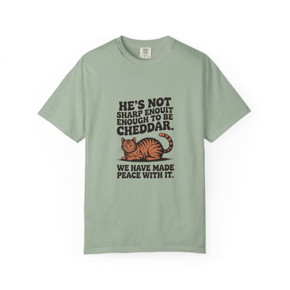 Orange Tabby — He's not sharp enough to be cheddar