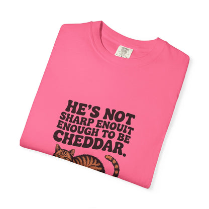 Orange Tabby — He's not sharp enough to be cheddar