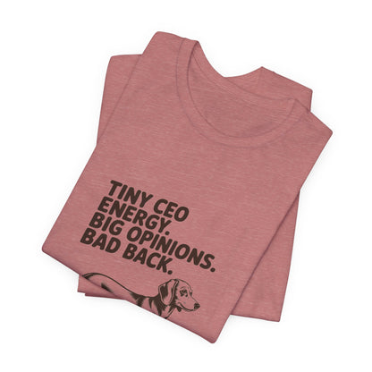 Dachshund — Tiny CEO energy. Big opinions. Bad back