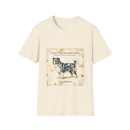 Australian Shepherd — Velcro Dog Tax — Paid in Full