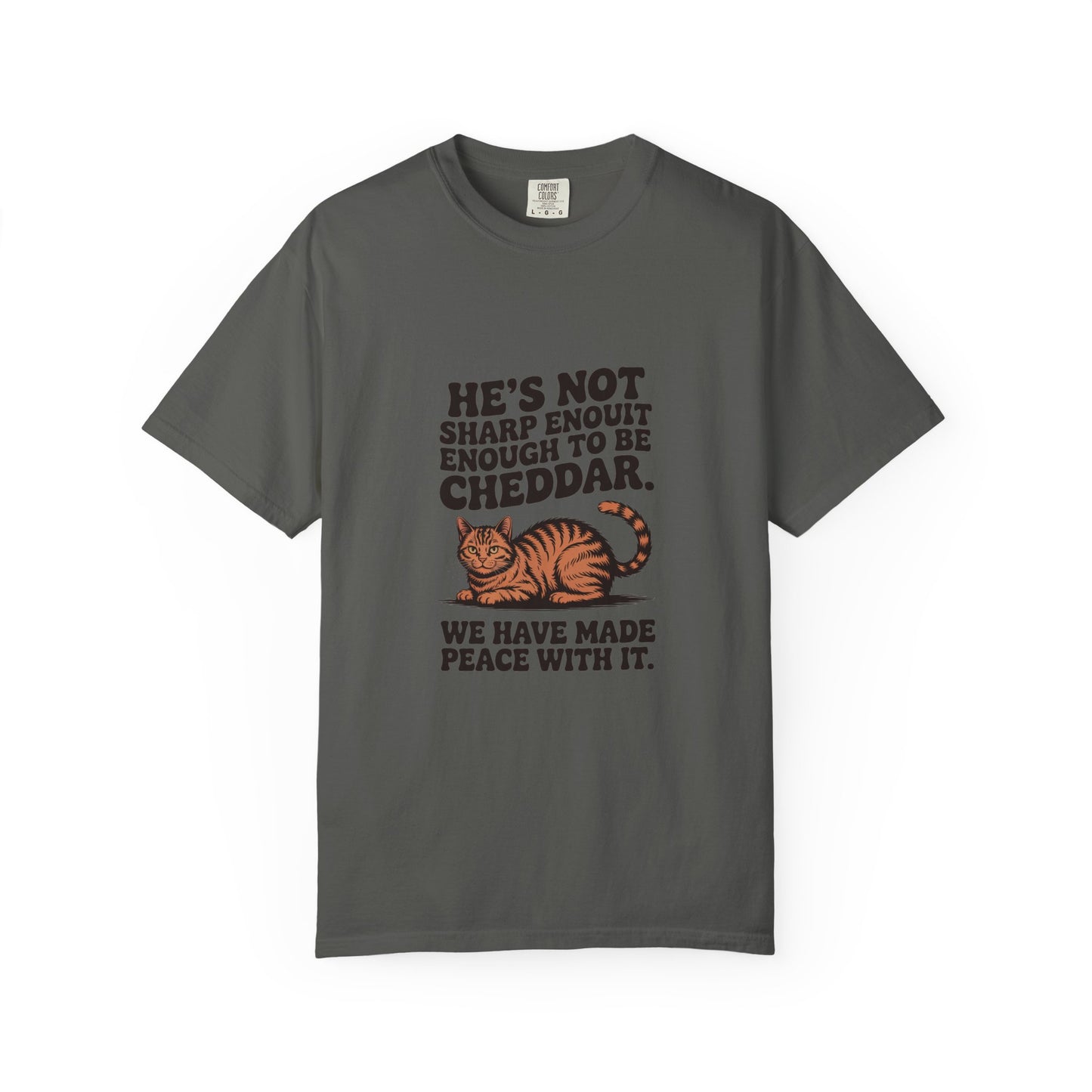 Orange Tabby — He's not sharp enough to be cheddar
