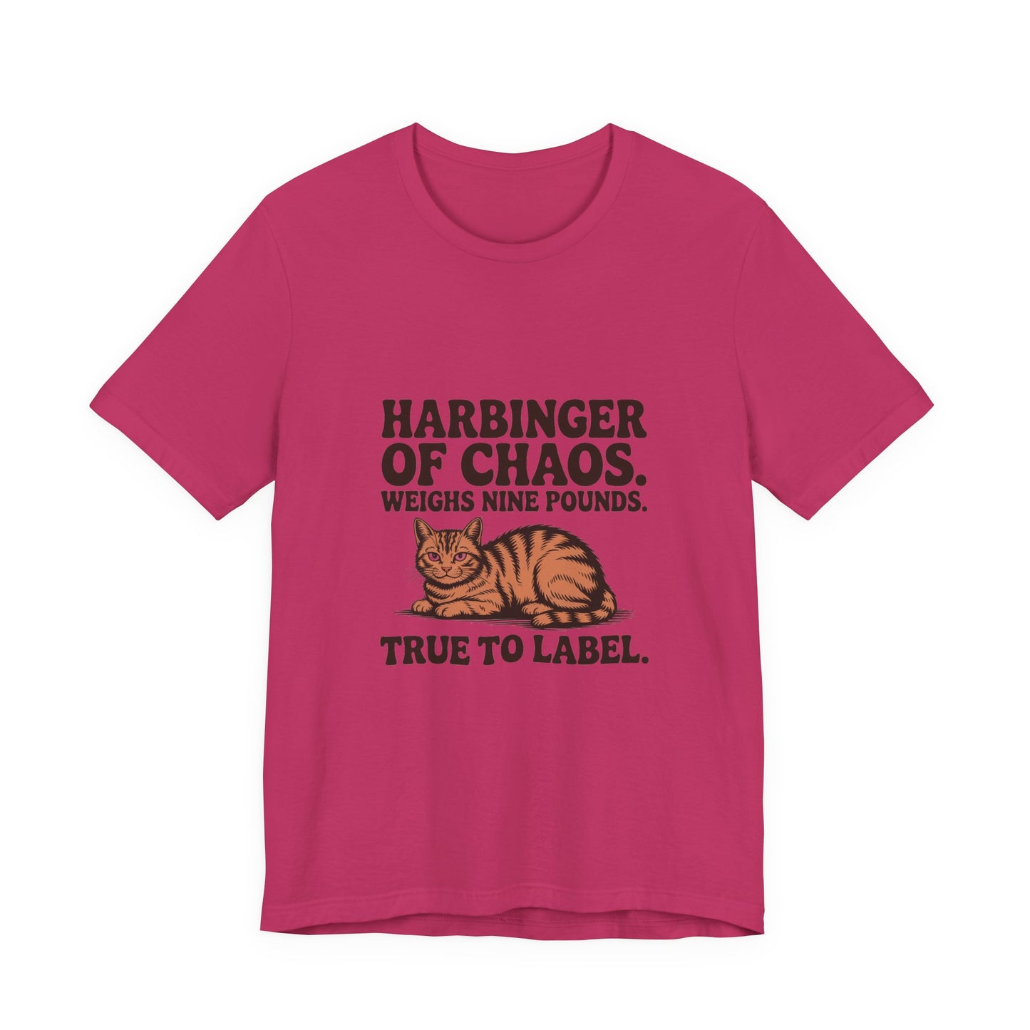 Orange Tabby — Harbinger of chaos. Weighs nine pounds