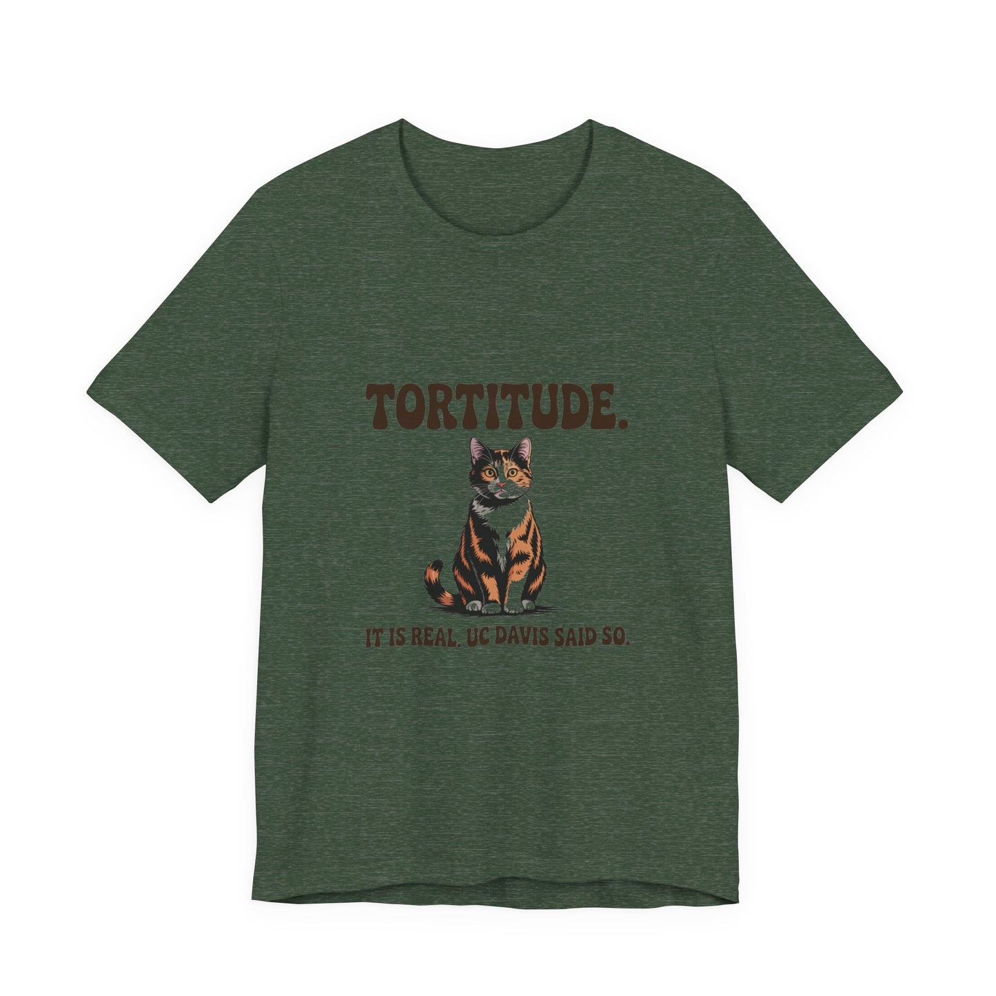 Tortoiseshell — Tortitude