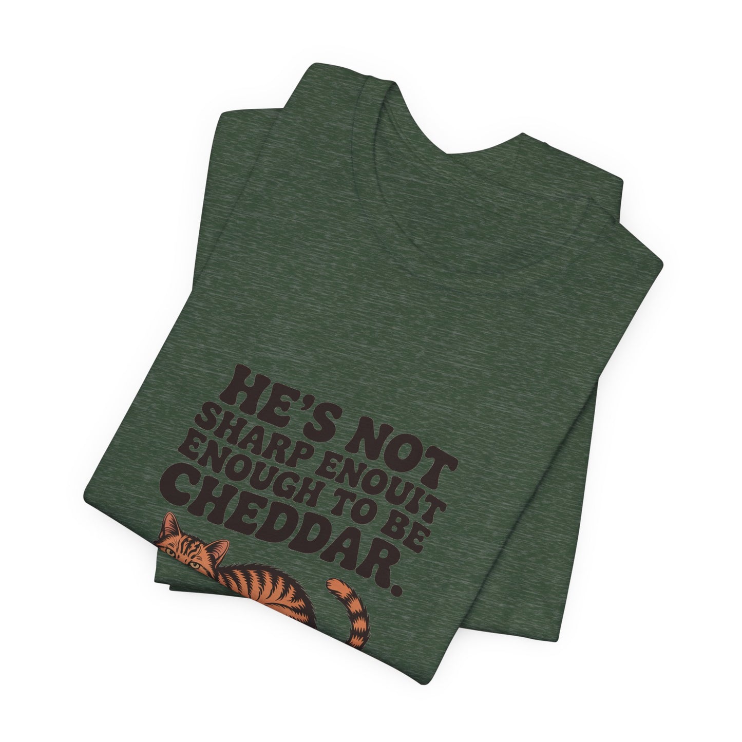 Orange Tabby — He's not sharp enough to be cheddar