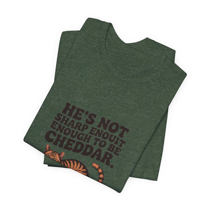 Orange Tabby — He's not sharp enough to be cheddar