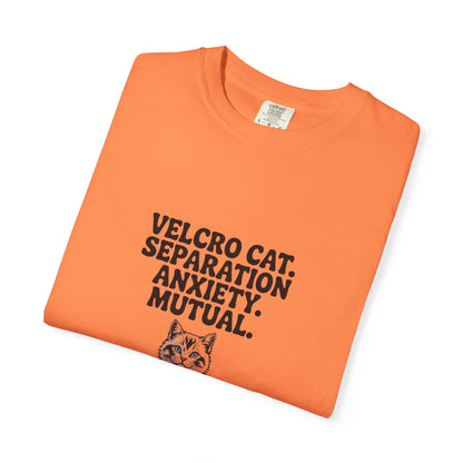 Ragdoll — Velcro cat. Separation anxiety. Mutual