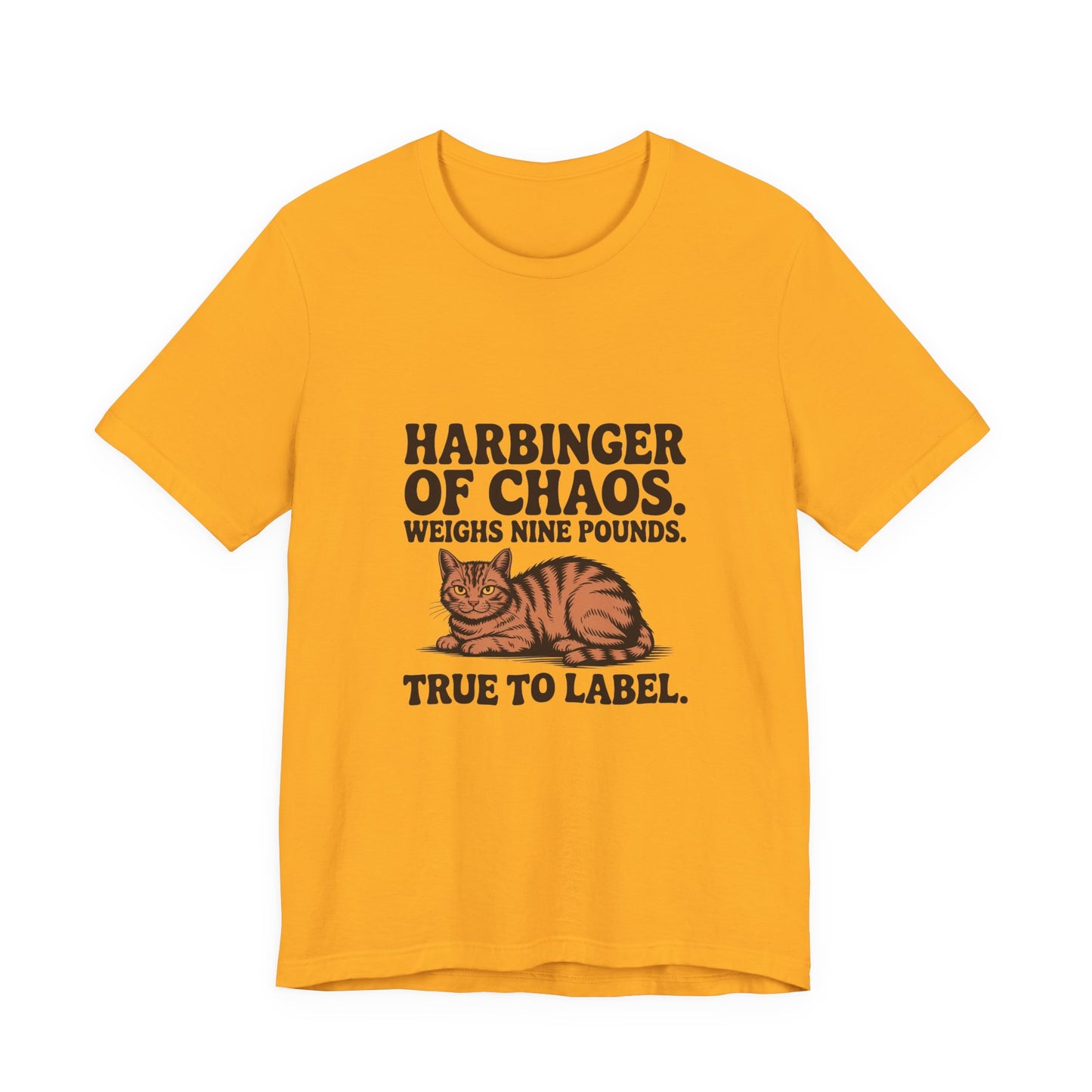 Orange Tabby — Harbinger of chaos. Weighs nine pounds