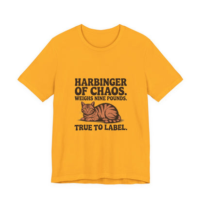 Orange Tabby — Harbinger of chaos. Weighs nine pounds