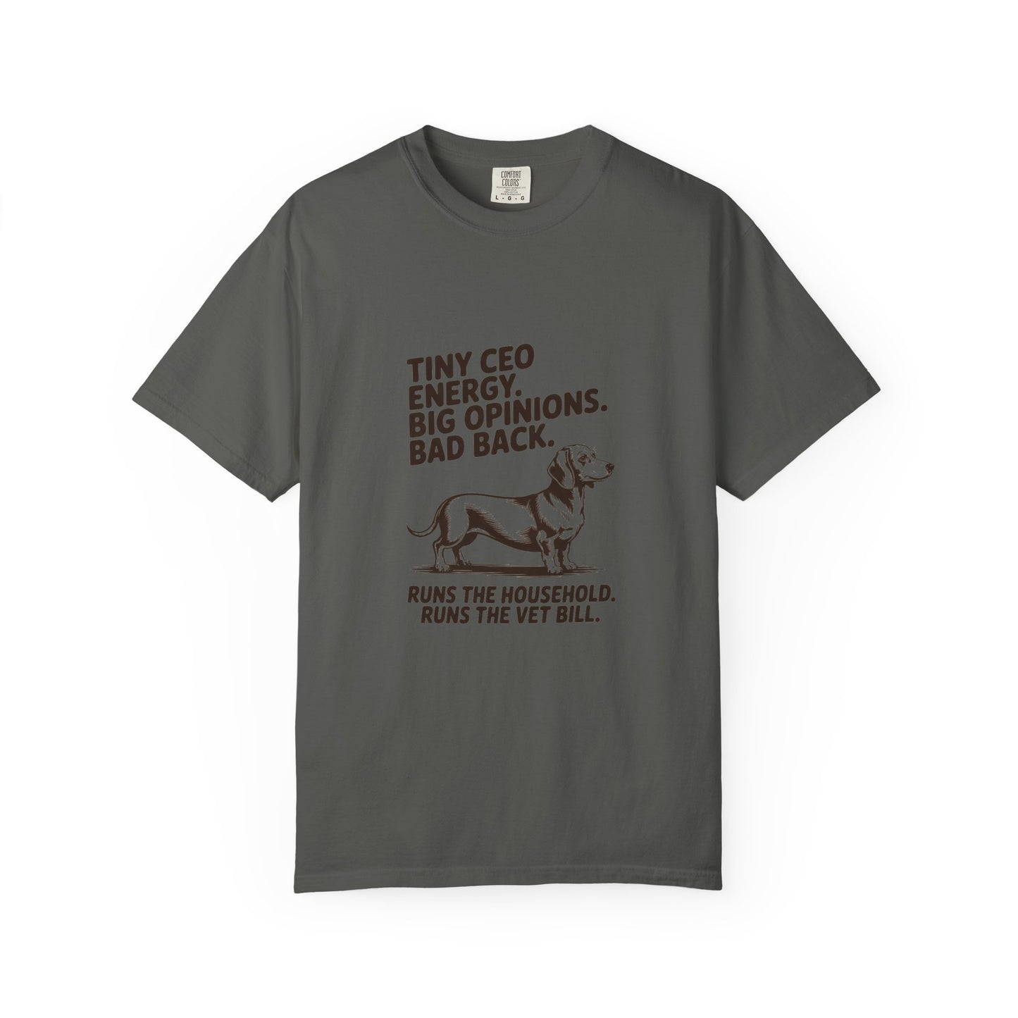 Dachshund — Tiny CEO energy. Big opinions. Bad back