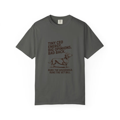 Dachshund — Tiny CEO energy. Big opinions. Bad back