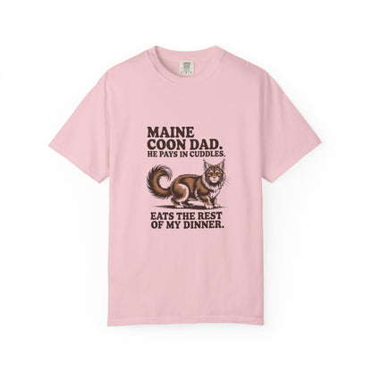 Maine Coon — Maine Coon Dad. He pays in cuddles