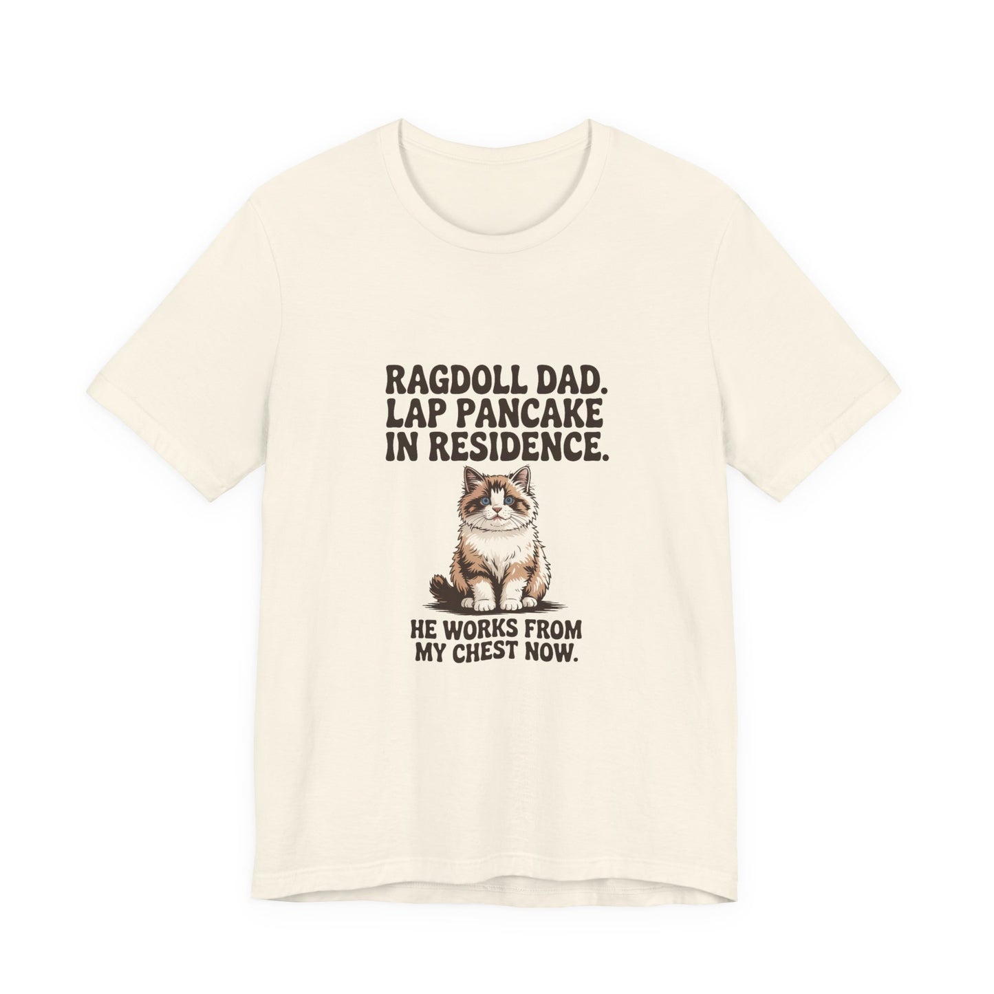 Ragdoll — Ragdoll Dad. Lap pancake in residence