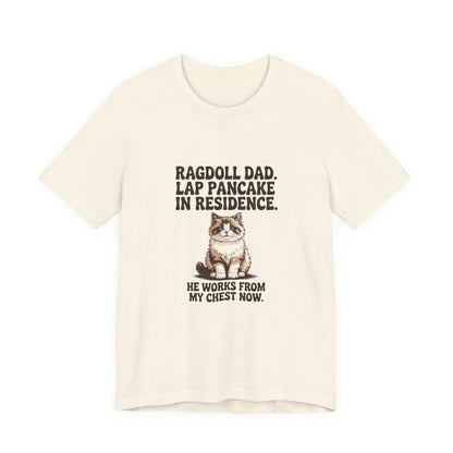 Ragdoll — Ragdoll Dad. Lap pancake in residence