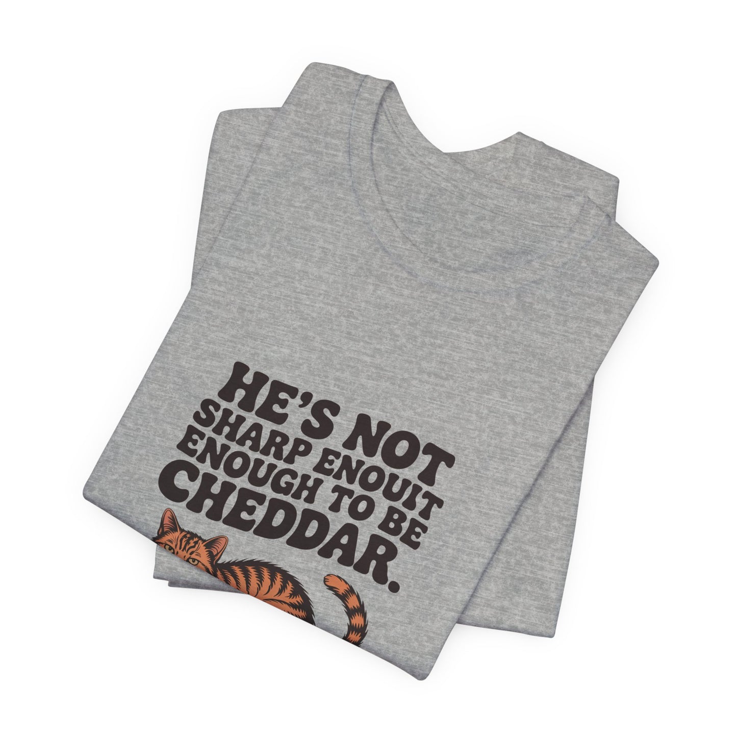 Orange Tabby — He's not sharp enough to be cheddar