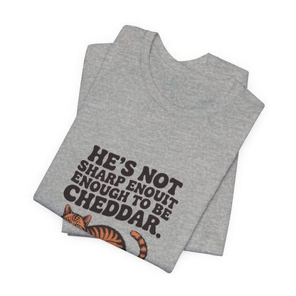 Orange Tabby — He's not sharp enough to be cheddar