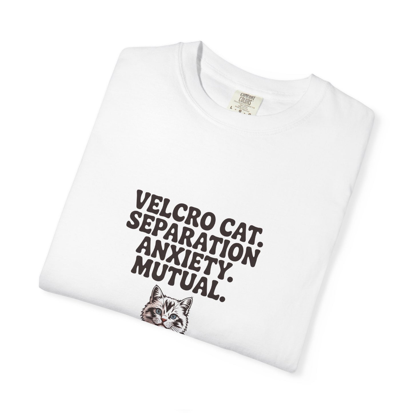 Ragdoll — Velcro cat. Separation anxiety. Mutual