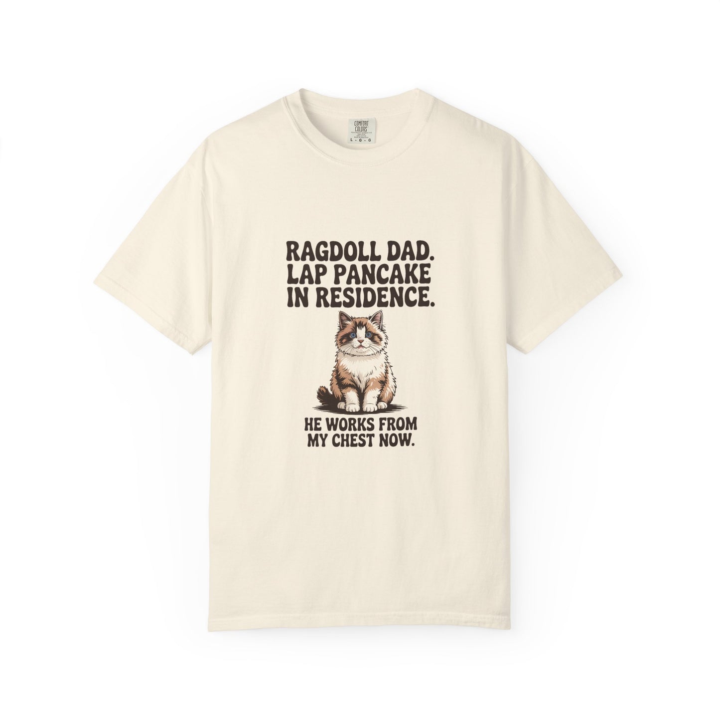 Ragdoll — Ragdoll Dad. Lap pancake in residence